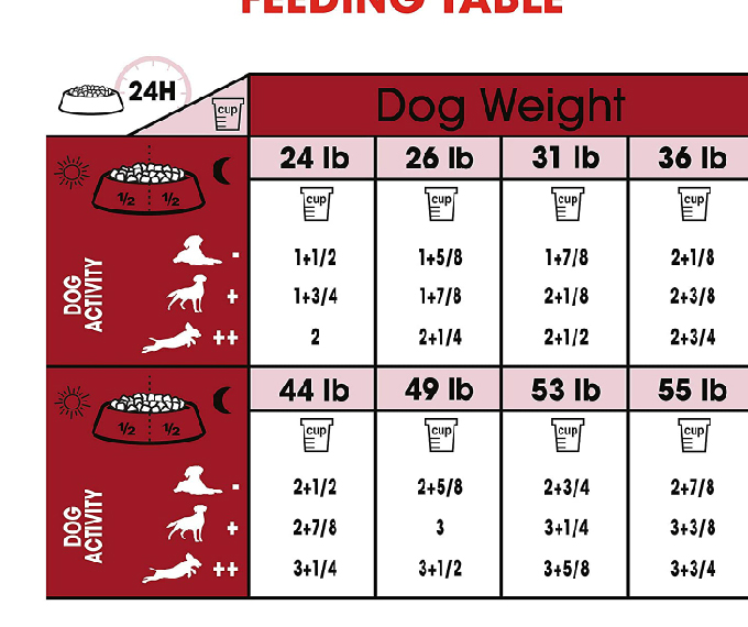 Royal Canin Size Health Nutrition Medium Adult Dry Dog Food - Image 5