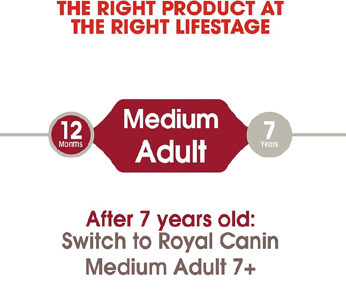 Royal Canin Size Health Nutrition Medium Adult Dry Dog Food - Image 4