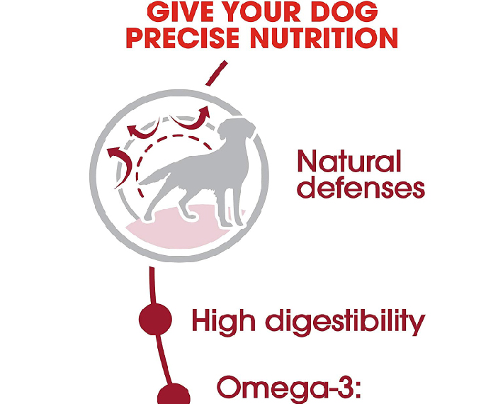 Royal Canin Size Health Nutrition Medium Adult Dry Dog Food - Image 2