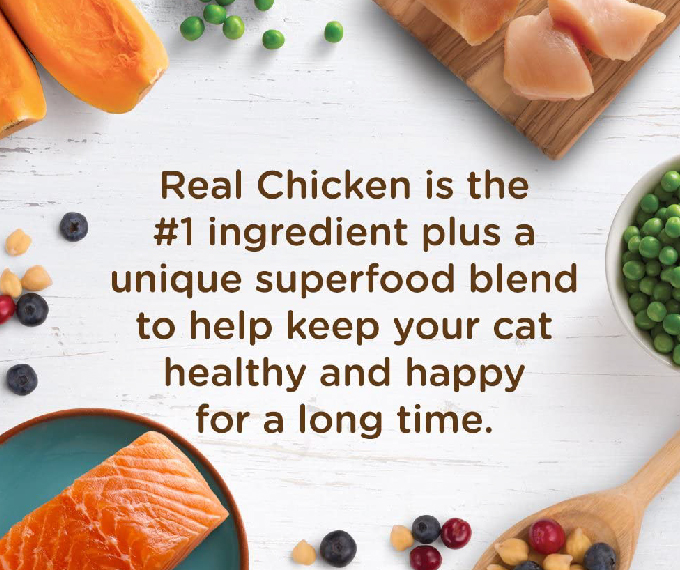 Rachael Ray Nutrish Indoor Complete Premium Natural Dry Cat Food - Image 4