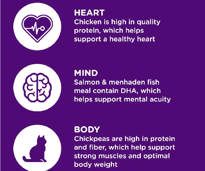 Rachael Ray Nutrish Indoor Complete Premium Natural Dry Cat Food - Image 3