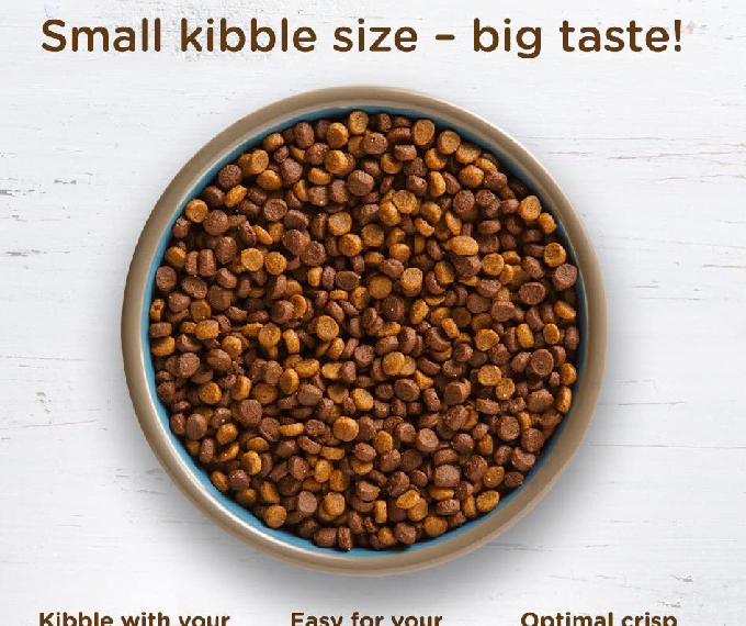 Rachael Ray Nutrish Indoor Complete Premium Natural Dry Cat Food - Image 5