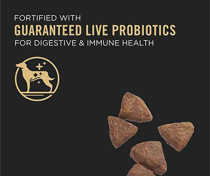 Purina Pro Plan Sensitive Skin & Stomach, High Protein Dry Dog Food - Image 4