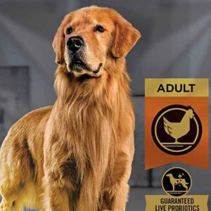 Purina Pro Plan with Probiotics Shredded Blend High Protein